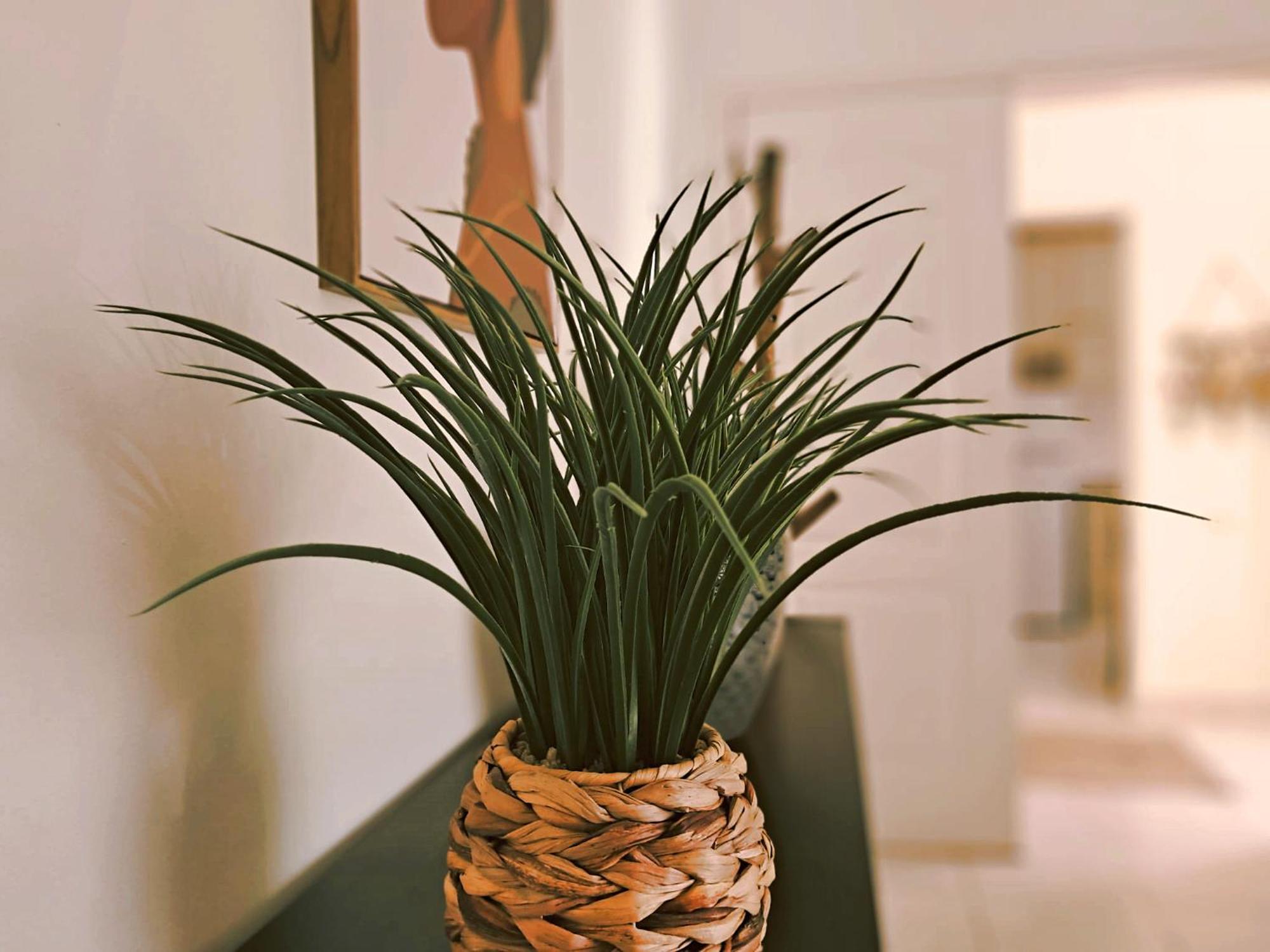 Apartamento Oasis Parque 2 ポルティマン エクステリア 写真